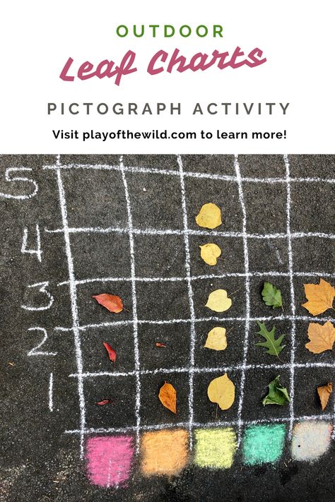 See how to do this fun pictograph & counting activity with kids. Visit PlayoftheWild.com for more details & ideas! #outdoor #outside #teaching #learning #math #maths #pictograph #counting #colors #colours #leaves #nature #outdoorlearning #outdoormath #eyfs #preschool #kidergarten #ks1 #firstgrade #ks2 Nature Math Preschool, Nature Measuring Activity, Outdoor Numeracy Activities, Outdoor Math Kindergarten, Outdoor Learning Resources, Outdoor Maths Ideas Eyfs, Numeracy Outdoors Early Years, Forest Math Activities Preschool, Ks2 Forest School Activities