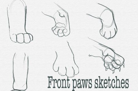 Lion paws Feline Paw Reference, Lion Paws Drawings, Animal Paw Reference, Lion Refrence Art, Lion Tail Drawing, Cat Paws Reference, Tiger Paws Reference, Lion Paws Reference, Lion Paw Drawing