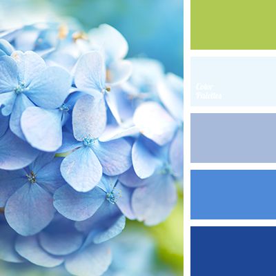 Blue Color Palettes, blue shades, color palette for home, green, green and violet blue, hot blue, hydrangea, pale light green, white and violet-lilac, yellow-light green. In Color Balance, Orange Couch, Seeds Color, Color Palette Ideas, Wall Living Room, Color Schemes Colour Palettes, Palette Ideas, Design Seeds, Blue Colour Palette