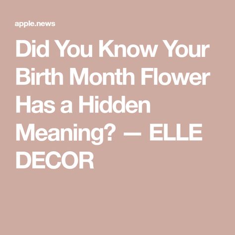 Did You Know Your Birth Month Flower Has a Hidden Meaning? — ELLE DECOR Delphinium Plant, Birth Stones, The Language Of Flowers, Coded Message, Flower Guide, Flower Meanings, Birth Month Flower, Language Of Flowers, Hardy Perennials