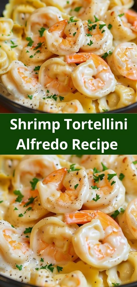 Need dinner recipes for family? Our Shrimp Tortellini Alfredo Recipe is a hit! This shrimp alfredo pasta is ideal for easy dinner ideas and offers a delicious shrimp dinner everyone will love. Shrimp Tortellini Alfredo, Shrimp Tortellini, Alfredo Recipes, Shrimp Alfredo Recipe, Tortellini Alfredo, Pasta Recipes Alfredo, Creamy Shrimp, Tortellini Recipes, Shrimp Alfredo