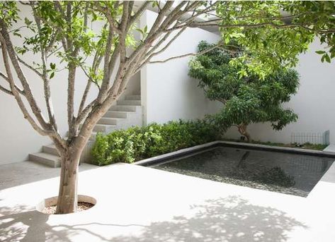 Adding water to your patio – whether it be in a pool, small lake or pond, will add a sense of tranquility to your backyard. | 10 Ways to Dress Up a Drab Concrete Patio Poured Concrete Patio, Design Per Patio, Patio Trees, Concrete Patio Designs, Kentish Town, Outdoor Eating, Poured Concrete, Brick Patios, Porcelain Floor