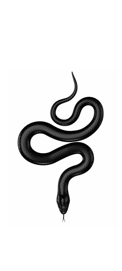 All Black Snake Tattoo, Snack Tattoo Design, Black Snake Tattoo Design, Snack Tattoo, Black Mamba Tattoo, Tattoo Cobra, Black Snake Tattoo, Black Mamba Snake, Serpent Tattoo