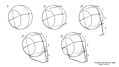 How to Draw Heads from Any Angle – Step by Step – Tutorial - Ram Studios Comics Andrew Loomis Method, Draw Heads, Loomis Method, Portrait Drawing Tips, Drawing The Human Head, Hair Stenciling, Andrew Loomis, Drawing Legs, Drawing Heads