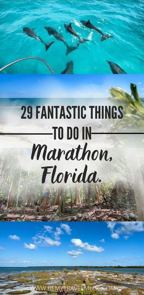 Marathon Key Florida Things To Do, Things To Do In Marathon Florida, Marathon Florida Keys Things To Do, Marathon Key Florida, Key West Florida Vacation, Marathon Florida Keys, Things To Do In Australia, Marathon Florida, Travel Key West