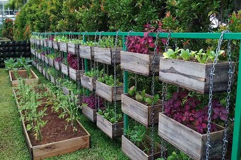 Small Vegetable Gardens, Backyard Vegetable Gardens, Survival Gardening, Veg Garden, Vegetable Garden Design, Wooden Planters, Veggie Garden, Raised Garden Beds, Hanging Planters