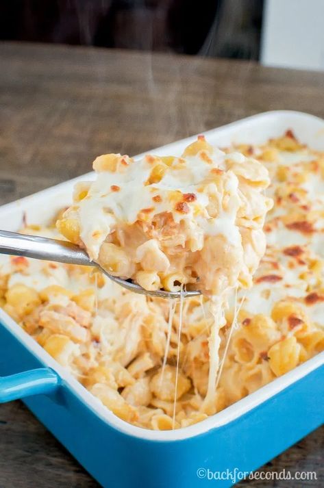 Buffalo Chicken Alfredo Bake Buffalo Chicken Alfredo, Chicken Alfredo Bake Recipe, Alfredo Pasta Bake, Alfredo Casserole, Baked Chicken Alfredo Pasta, Chicken Alfredo Casserole, Alfredo Bake, Chicken Alfredo Bake, Buffalo Chicken Pasta