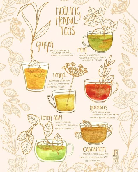 Tea Properties, Towel Challenge, Tea Morning, Tea Blends Recipes, Hot Cup Of Tea, Tea Herbs, Herbal Coffee, Smoothie Bowl Healthy, Healing Tea