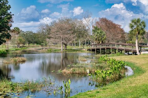 Leesburg is a small city that can be found in the middle of Florida. It is a short drive from the famous city of Orlando ... Read More The post List of 6 Fun Things To Do In Leesburg Fl appeared first on FastLagos. Leesburg Florida, Watermelon Festival, Nature City, Trout Lake, Spanish Heritage, Small City, Garden Park, Lake County, Nature Preserve