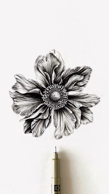 Floral Outlines, Realistic Flower Drawing, Micron Pen Art, Pen Art Work, Doodle Art Flowers, Stippling Art, Botanical Drawing, Pen Art Drawings, Black And White Art Drawing