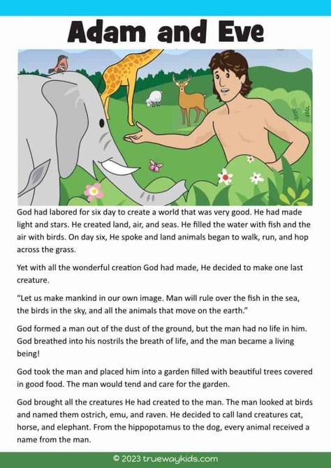 Adam And Eve Bible Lesson For Kids, Adam And Eve Sunday School Lesson, Curriculum Organization, Eve Bible, Adam And Eve Story, Adam And Eve Bible, Story Of Adam And Eve, Catholic Kids Activities, Homework Club