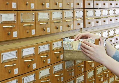 Have you ever considered becoming a librarian? We're talking about some of the things you might not know about what librarians do -- and don't do -- on the job. Librarian, Have You Ever, The Things, Packaging Design, Vision Board, Do It, How To Become, Education, Holiday Decor