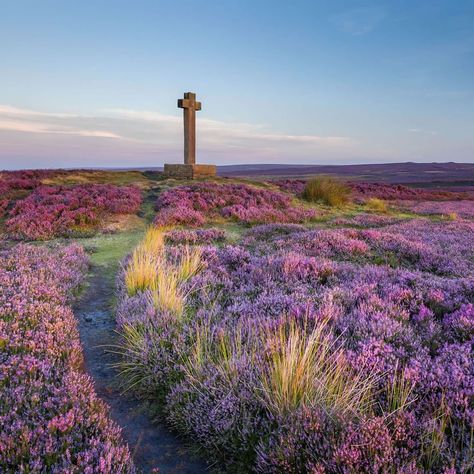 North York Moors National Park, Visit England, North York Moors, Visiting England, Cornwall England, South Yorkshire, Yorkshire Dales, Yorkshire England, England Travel