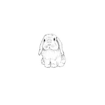 Bunny And Dog Tattoo, Holland Lop Bunny Drawing, Floppy Eared Bunny Tattoo, Soft Bunny Tattoo, Holland Lop Bunny Tattoo, Lop Eared Bunny Tattoo, Lop Rabbit Tattoo, Lop Bunny Drawing, Holland Lop Drawing