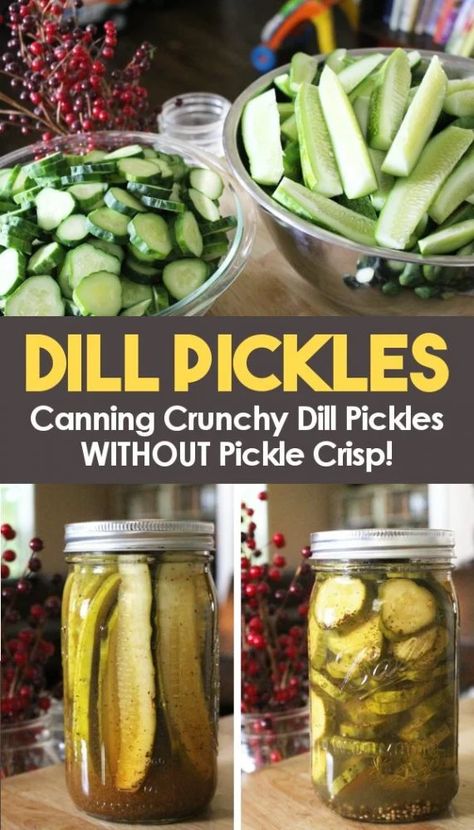 Dill Pickles Canning, Crispy Dill Pickles, Crunchy Dill Pickles, Canning Pickles Recipe, Pickles Canning, Making Dill Pickles, Water Bath Canning Recipes, Dill Pickle Recipe, Canning Pickles