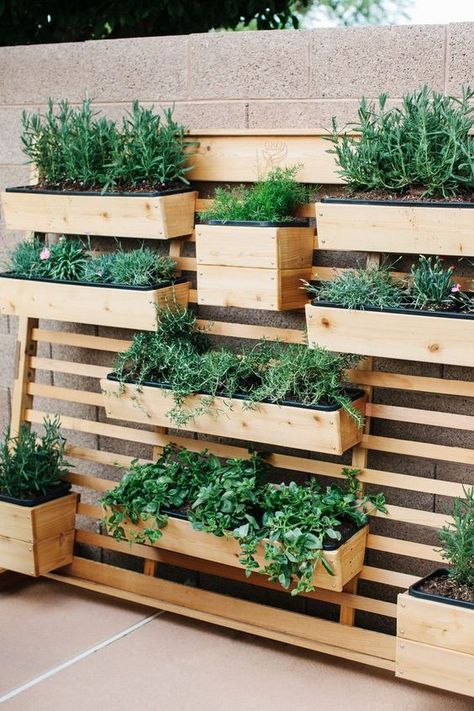 Vertical Garden Wall Planter, Garden Wall Planter, Kebun Herbal, Diy Garden Landscaping, Pallet Gardening, Taman Diy, Decking Ideas, Funny Vine, Garden Wall Designs