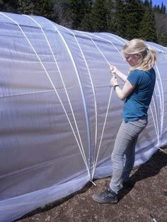 High Tunnel Greenhouse, Timber Greenhouse, Cedar Greenhouse, High Tunnel, Greenhouse Farming, Tunnel Greenhouse, Aluminium Greenhouse, Diy Greenhouse Plans, Free Shed Plans