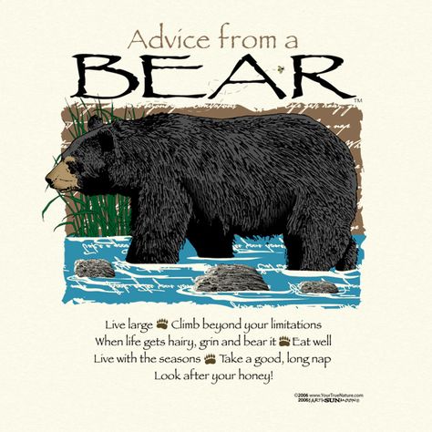 Advice From A Bear Grin And Bear It, Bear Spirit Animal, Earth Sun And Moon, Wood Badge, Bear Quote, Animal Spirit Guides, Animal Symbolism, Life Quotes Love, Advice Quotes