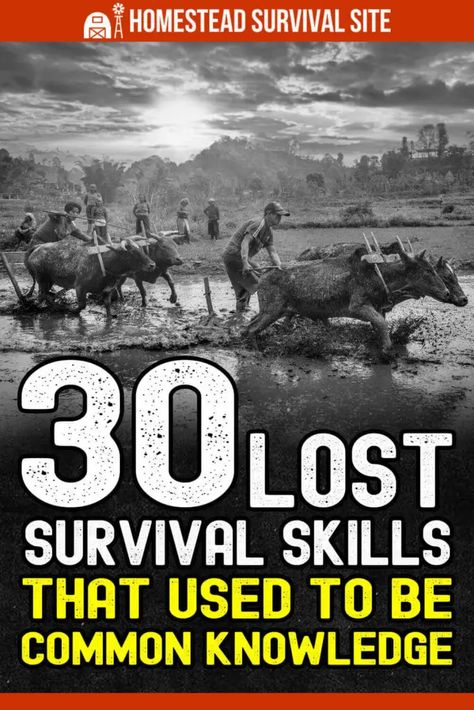 These lost survival skills used to be common knowledge. Every homesteader should practice these skills because we might need them again. How To Start A Fire Survival Skills, Homestead Survival Life Hacks, Apocalypse Skills, Live Off Grid, Survival Prepping Diy, Best Survival Food, Survival Skills Emergency Preparedness, Living Off Grid, Outdoor Skills