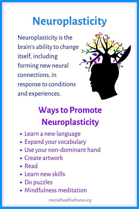 Neuroplasticity: what it is and ways to promote it Neuroplasticity Exercises, Nervus Vagus, Brain Based Learning, Psychology Notes, Neural Connections, Brain Facts, Mental Health Facts, Psychology Student, Brain Exercise