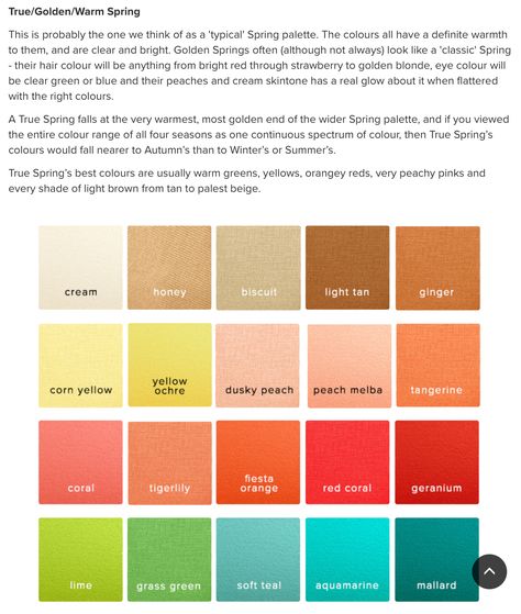 True Spring Neutrals, Warm Spring Neutrals, Warm Tone Outfits, Makeup For 50 Year Old, True Spring Color Palette, Spring Neutrals, True Spring Colors, Colour Season, Color Seasons