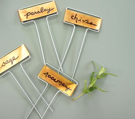 An Easy Tabletop DIY Herb Garden Copper Plant, Copper Garden, Herb Labels, Diy Table Top, State College Pa, Diy Herb Garden, Hand Lettering Styles, Modern Hand Lettering, Plant Tags