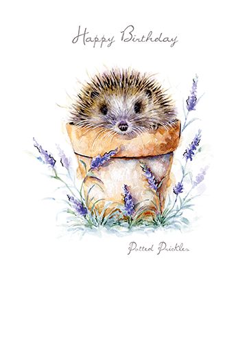 New Home Congratulations, Happy Birthday Art, Birthday Art, A Hedgehog, Happy Wishes, Happy Birthday Greeting Card, Cute Hedgehog, Beautiful Greeting Cards, Happy Birthday Greetings