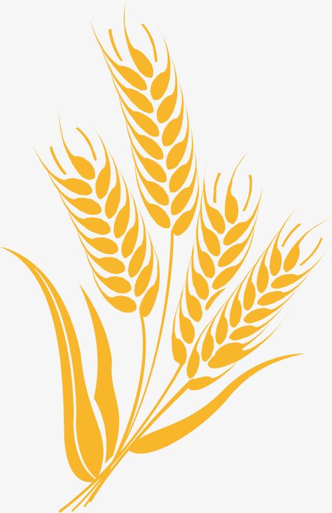 Wheat Design Ideas, Wheat Images, Wheat Silhouette, Wheat Graphic, Wheat Stencil, Wheat Symbol, Wheat Illustration, Wheat Drawing, Wheat Art