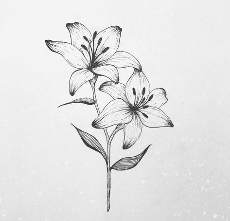 Tattoo Line Work, Lilly Flower Tattoo, Lily Flower Tattoo, Flower Tattoo Stencils, Faith Tattoo On Wrist, Lillies Tattoo, Lilies Drawing, Lily Flower Tattoos, Tattoo Line