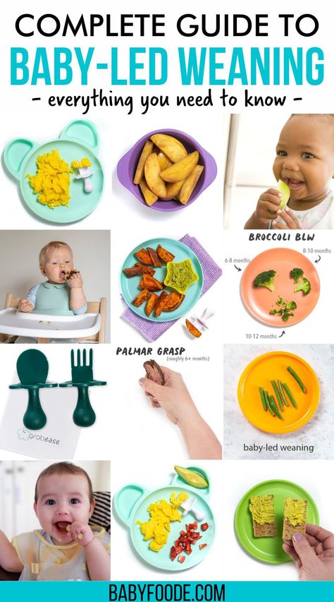 Starting Baby Led Weaning 6 Months, Baby Led Feeding 6 Months, Sample 6 Month Feeding Schedule, What Is Baby Led Weaning, 6 Month Feeding Guide, Baby Led Weaning First Foods 6 Months No Teeth, Blw Schedule 6 Months, Baby Led Weaning 4 Months, How To Cut Food For Baby Led Weaning