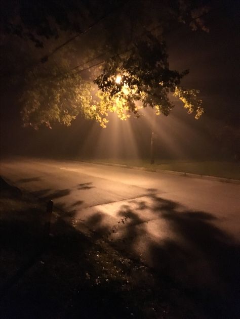 Street Lamp Post Night Fog, Foggy Aesthetic Night, Light Street Night, Street Lamp In The Fog At Night, Lights And Shadows Photography, Street Light In Fog, Street Light In Fog Wallpaper 4k, Street Lamp In The Fog Wallpaper Iphone, Streetlamps In The Fog