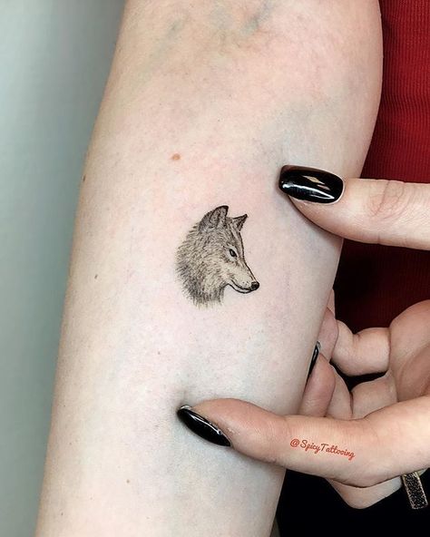 Wolf tattoos are one of the most popular tattoos for men due to their primordial force and powerful ferocity meaning. Wolf And Dragonfly Tattoo, Simple Wolf Tattoo, Wolf Tattoos For Women, Minimal Inspiration, Small Wolf Tattoo, Tattoos For Females, Wolf Tattoos Men, Tier Tattoo, Wolf Tattoo Sleeve