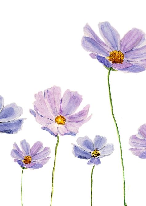 purple cosmos Painting Clothing, Purple Cosmos, Watercolour Nature, Poster Purple, Watercolor Nature, Light Purple Flowers, Lemon Painting, Flowers In Bloom, Cosmos Flowers