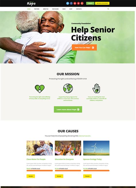 Nonprofit Landing Page, Volunteer Design, Non Profit Website, Nonprofit Website Design, Charity Websites, Charity Work Ideas, Nonprofit Website, Wix Templates, Charity Organizations