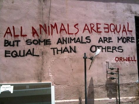 Click through for 20 examples of some pretty cool literary graffiti (not that we condone vandalism in any form. Art is ok, though). Animal Farm George Orwell, All Animals Are Equal, Slaughterhouse Five, All Animals, Sylvia Plath, Animal Farm, George Orwell, Literary Quotes, Farm Animals