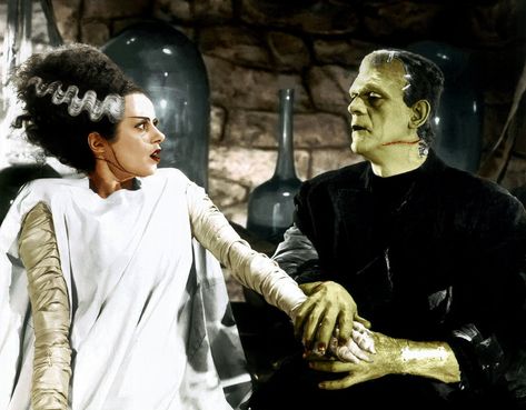 Boris and Elsa, The Bride of Frankenstein Frankenstein Wife, Bride Of Frankenstein Costume, Frankenstein Costume, Classic Monster Movies, The Bride Of Frankenstein, Joker Comic, Bride Costume, Spooky Movies, Frankenstein Halloween