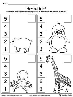 How Tall Are The Animals?: Practice linear measurement and reading scales with this printable worksheet. Measuring Activities For Preschool Free Printables, Spring Math Activities Kindergarten, Measurement Preschool, Kindergarten Measurement Activities, Measuring Activities, Kindergarten Measurement, Animals Worksheet, Measurement Kindergarten, Spring Math Activities