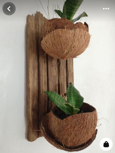 Palm Tree Crafts, Twig Furniture, Orchid Flower Arrangements, Coconut Shell Crafts, Garden Wall Designs, Shell Planter, Shell Crafts Diy, Flower Arrangements Simple, Diy Jar Crafts