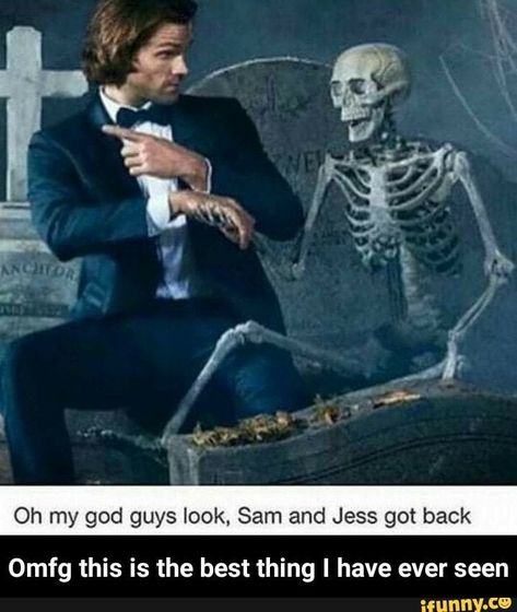 #spn #sam Quotes Supernatural, Sammy Supernatural, Sam E Dean, Sam Supernatural, Dean Supernatural, Supernatural Bloopers, Supernatural Tattoo, Supernatural Imagines, Supernatural Wallpaper