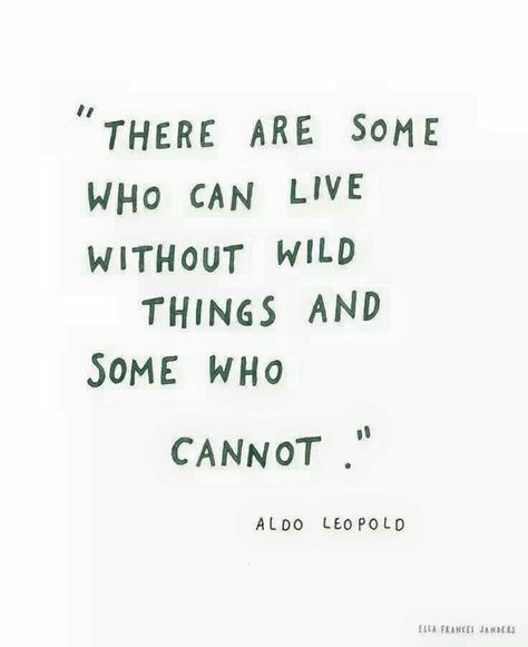 There are some who can live without wild things and some who cannot. Socrates, Wild Things, Wonderful Words, Quotable Quotes, A Quote, Love Words, True Words, Pretty Words, Beautiful Words