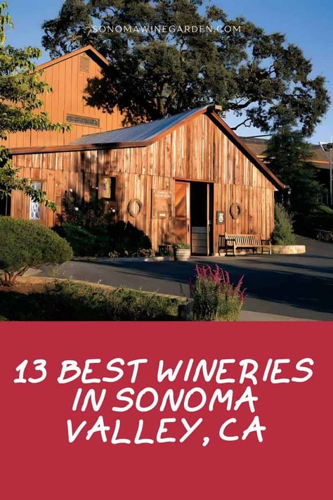 If you're looking for an unforgettable wine tasting experience, look no further than the 13 best wineries in Sonoma Valley. https://sonomawinegarden.com/sonoma-valley-wineries/ Best Wineries In Sonoma, Sonoma California Wineries, Sonoma Valley Wineries, Sonoma Wineries, California Winery, Napa Valley Wineries, Sonoma California, Wine Tasting Experience, Sonoma Valley