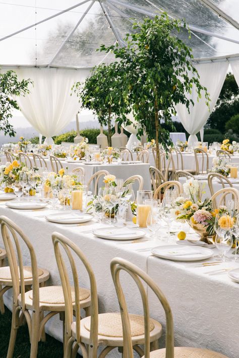 Elegant Yellow Wedding, Yellow And White Wedding Decorations, Wedding With Yellow Accents, Colorful Wedding Pallet, Pale Yellow Wedding Theme, Lemon Tree Wedding, Light Blue And Yellow Wedding, Pale Yellow Wedding, White And Yellow Wedding