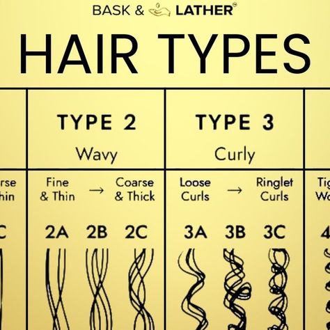 Bask&Lather Co ™ | 𝐻𝒜𝐼𝑅 𝒢𝑅𝒪𝒲𝒯𝐻 on Instagram: "What's your hair type? (Type 1, Type 2, Type 3, Type 4)  In celebration of National Clean Beauty Day we wanted to remind you that our products are all natural and safe for all hair types. 🙌🏾💛  #hairtypes #hairstyles #haircare #naturalhaircare #cleanbeauty #baskandlatherco #hairgrowth #hairtype #texturedhair #type4hair #type3hair #type2hair #kinkyhair #kinksandcoils #hairoil" Different Types Of Black Hair, How To Tell Your Hair Type, What’s My Hair Type, How To Know My Hair Type, Curly Hair Types Charts Curls, Different Hair Types Chart, How To Find Out Your Hair Type, Types Of Natural Hair Textures, Hair Types Chart Texture