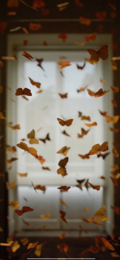 Butterflies. uploaded by AngelicaJasmin. on We Heart It Butterfly Aesthetic Wallpaper Vintage, Cute Powerpoint Templates, Zombie Wallpaper, Butterfly Room, Butterfly Mobile, Butterfly Wallpaper Iphone, Orange Butterfly, Butterfly Drawing, Orange Aesthetic