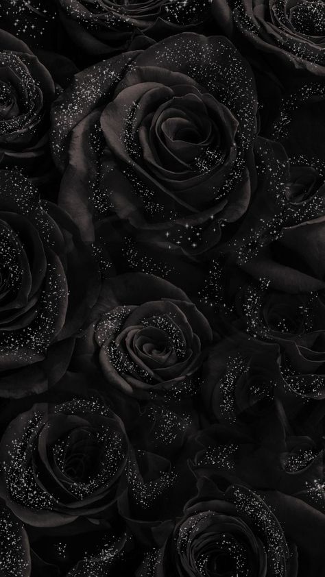 light in the darkness Black Rose Profile Picture, Black Glitter Iphone Wallpaper, Dark Glitter Wallpaper, Black Glitter Roses, Black Asthetics Wallpers, Diamond Wallpaper Iphone, Black Glitter Wallpapers, Black Flowers Wallpaper, Dark Roses