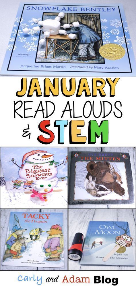 Homeschool January, January Read Alouds, Stem Read Alouds, Snowflake Activities, Snowflake Activity, Winter Wednesday, Winter Read Alouds, Tacky The Penguin, Winter Stem Activities