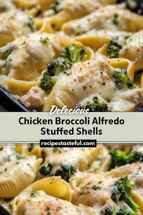 Creamy and cheesy stuffed pasta shells filled with tender chicken and broccoli, all coated in a rich Alfredo sauce. Chicken Alfrado, Cheesy Stuffed Pasta, Alfredo Stuffed Shells, Chicken Alfredo Stuffed Shells, Chicken Stuffed Shells, Chicken Broccoli Cheese, Chicken Broccoli Alfredo, Jumbo Pasta Shells, Stuffed Pasta