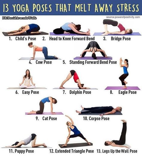 By doing some type of exercise can help lower stress. One good way is doing yoga. Since it's a calming workout that allows a person to mediate and listen to calming music. Doing simple yoga poses at least a couples time a week to lower stress. Ql Muscle, Yoga Ashtanga, Ashtanga Vinyasa Yoga, Yoga Vinyasa, Latihan Yoga, Yoga Beginners, Yoga Video, Beginner Yoga, Yoga Mom