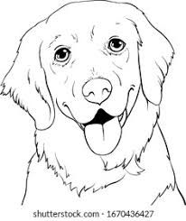 Golden retriever outline Images, Stock Photos & Vectors | Shutterstock Golden Retriever Outline, Golden Retriever Illustration, Golden Retriever Drawing, Golden Retriever Painting, Line Drawing Images, Golden Retriever Silhouette, Patchwork Applique, Golden Retriever Art, Dog Outline