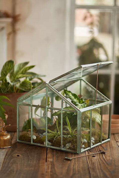 Terrariums: Glass Terrariums + Terrarium Supplies | Terrain Terrarium Home Decor, 3d Printed Terrarium, Cute Terrarium, Fishbowl Terrarium, Spider Tank, Greenhouse Terrarium, Tabletop Terrarium, Bedroom Spring, Tank Terrarium